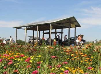 The Scales Building at the Tree Farm